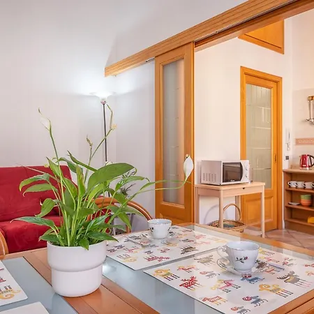 Cesare Vatican Museums * Rom