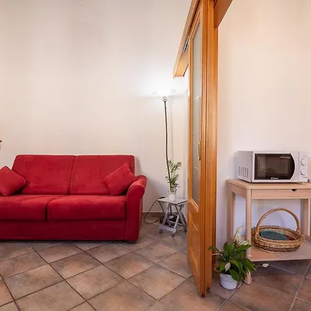 Cesare Vatican Museums *